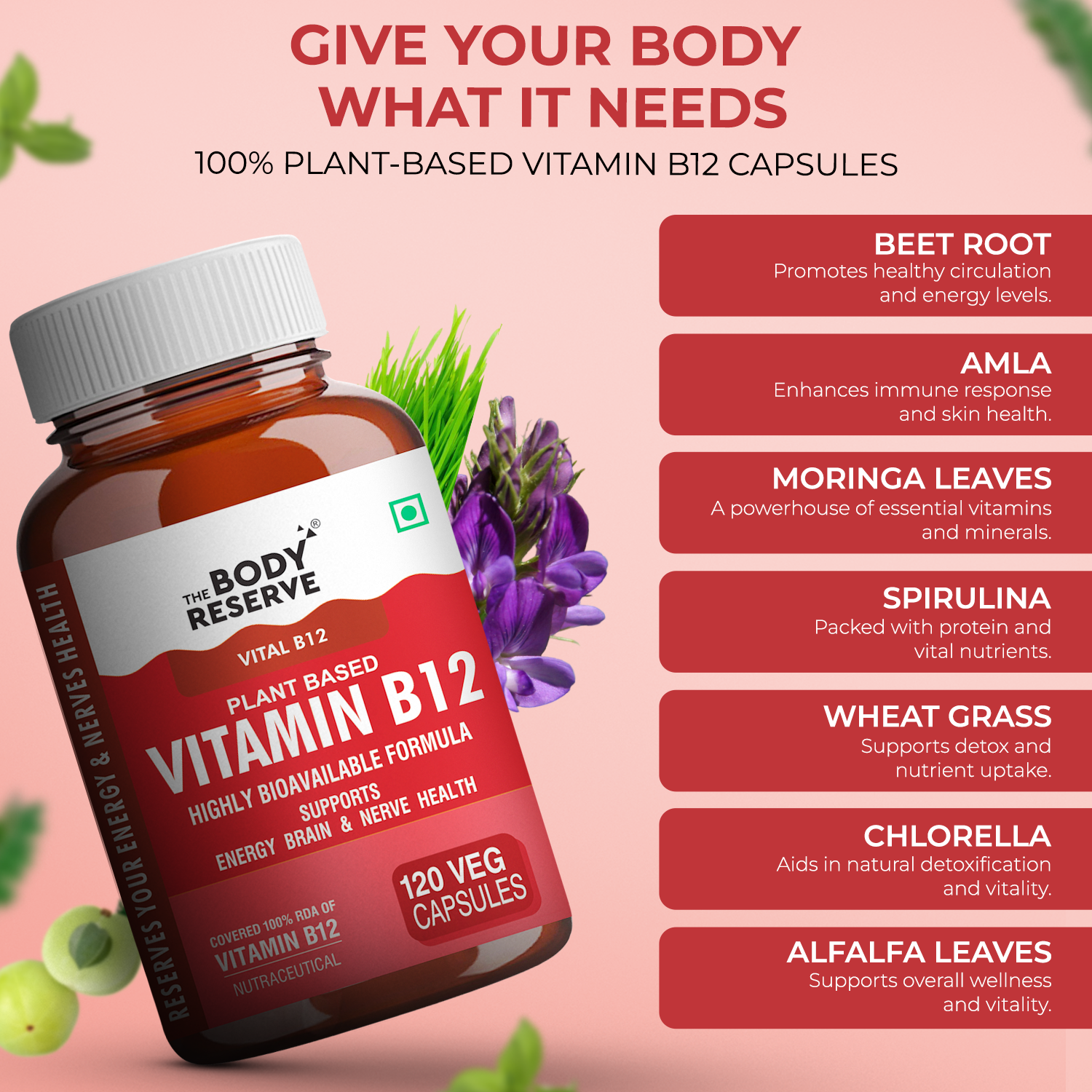 The Body Reserve Plant Based Vitamin B12 Supplement For Men & Women 120 Capsules Organic Vitamin B12 For Nerve And Brain Health Vegan Capsules