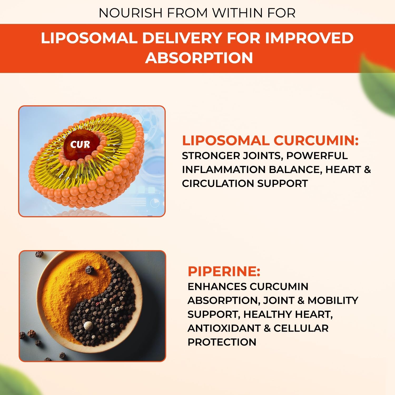 Liposomal Curcumin 500mg 60 Capsules Support for Adults