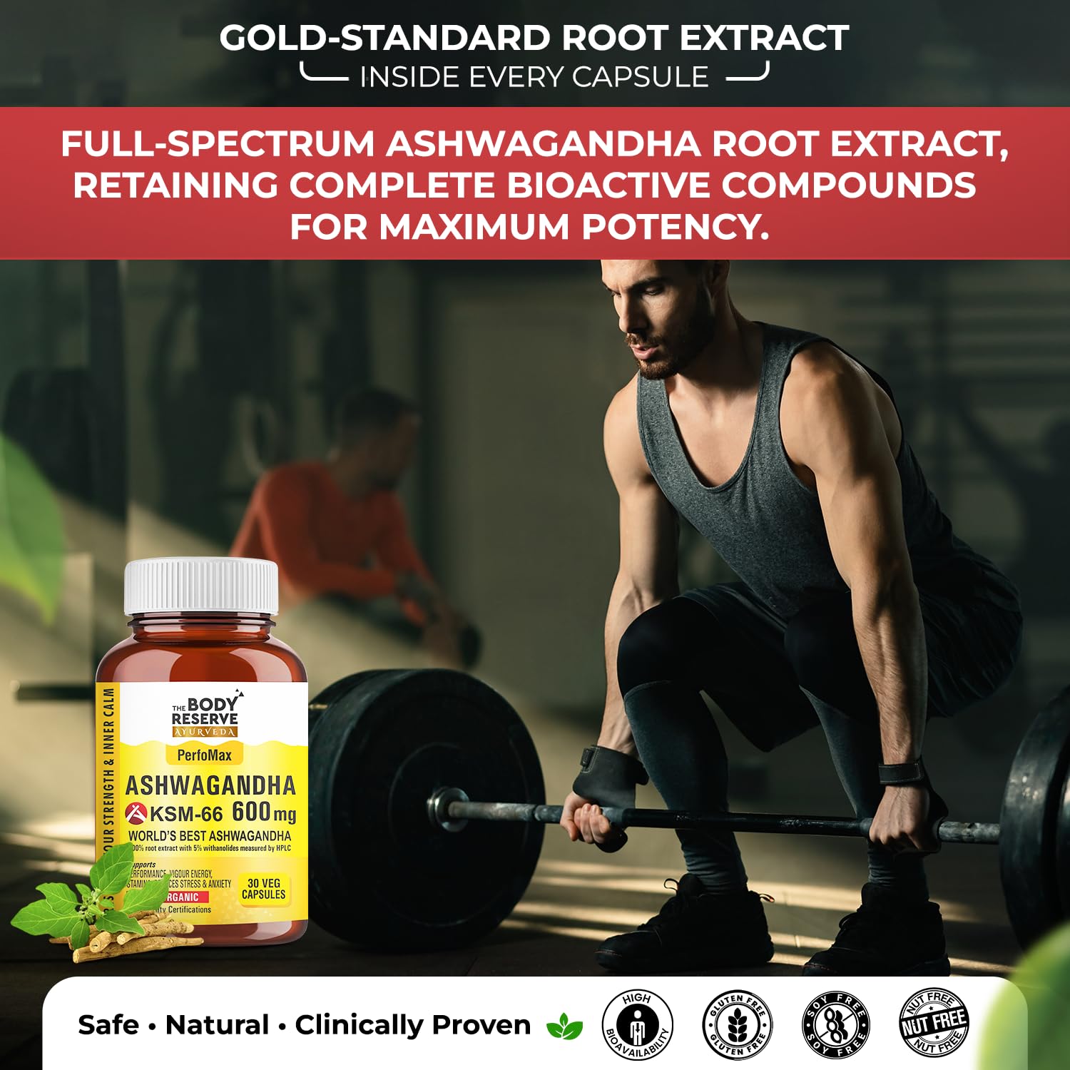 Ashwagandha KSM66-30 Capsules