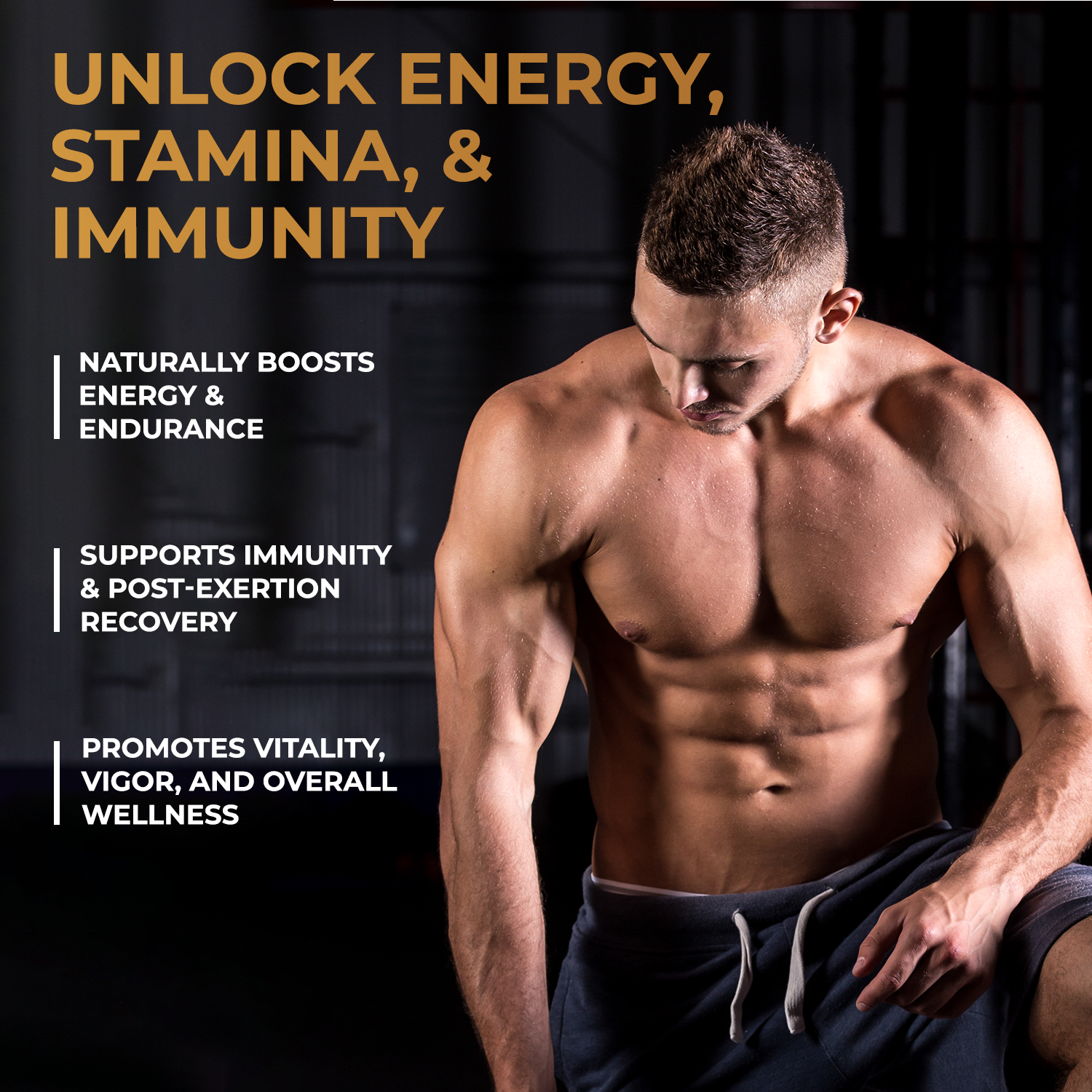 The Body Reserve Shilajit Resin 75% Fulvic Acid – Pure Himalayan, High-Altitude Extract, Certified Lab Tested, Energy, Stamina & Immunity Booster, Purified by Traditional Ayurvedic ‘Shodhan’ Method, 20g