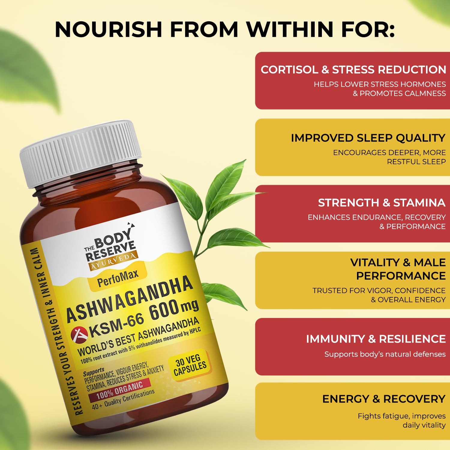 Ashwagandha KSM66-30 Capsules