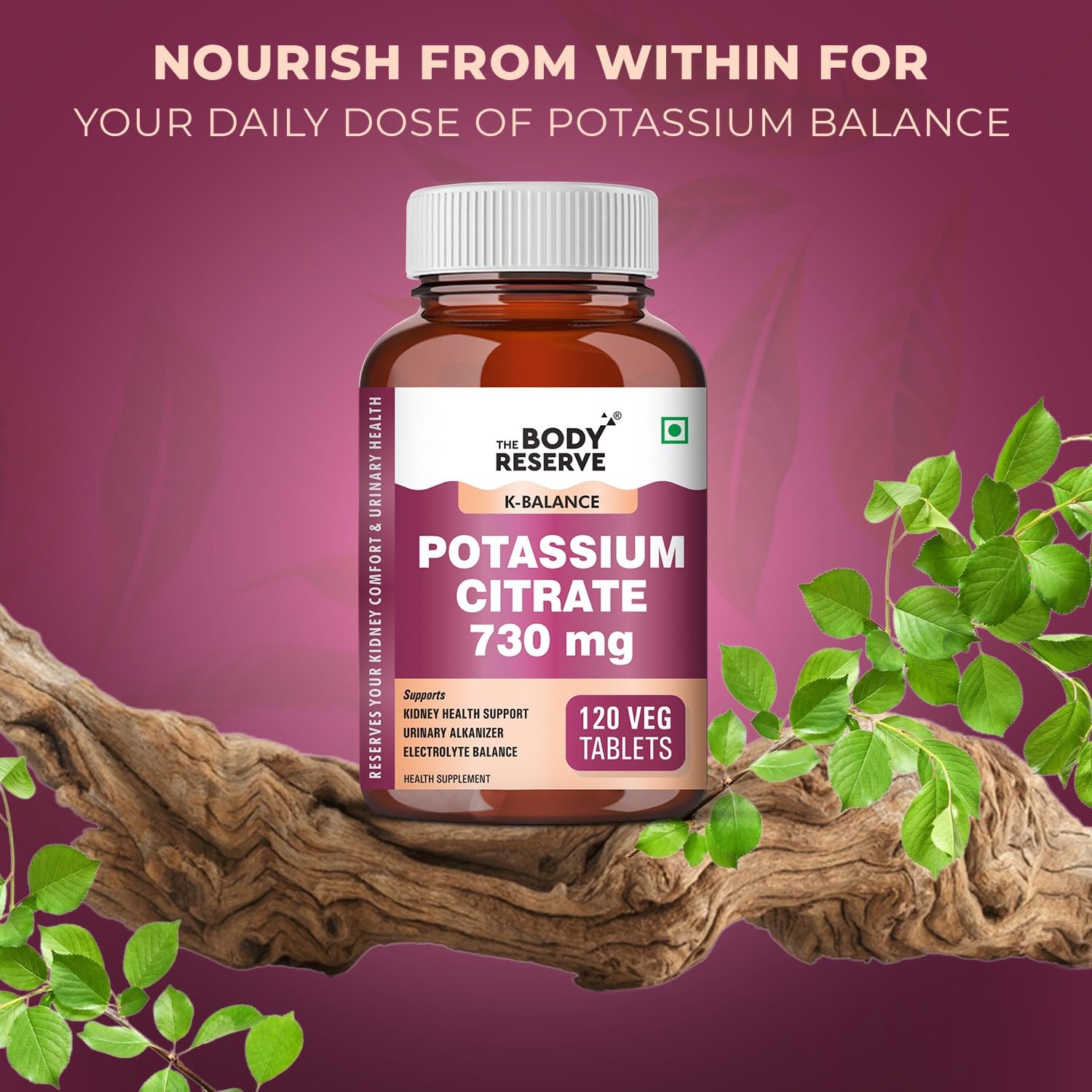Potassium Citrate Tablets-120 for healthy kidney function